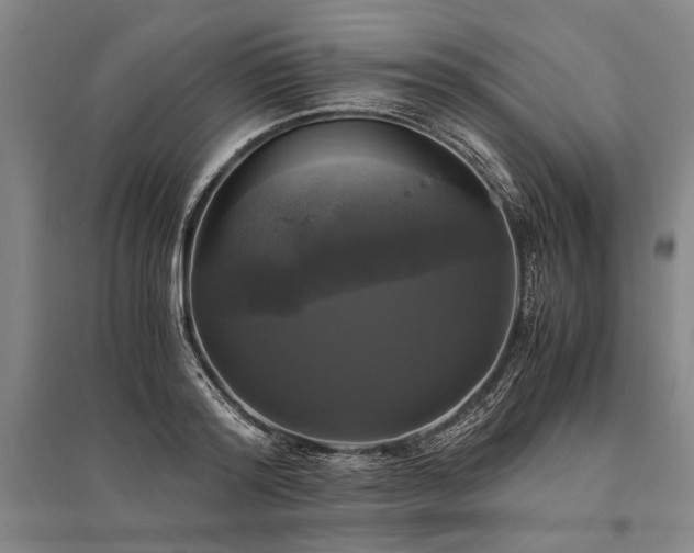 X0000095520796200712141445