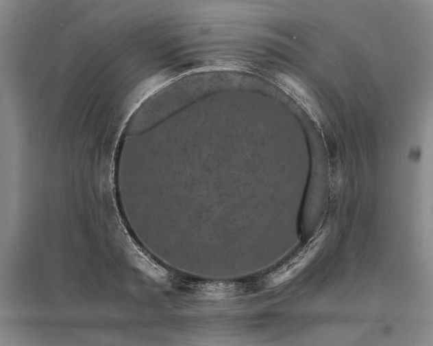X0000095520797200712141445