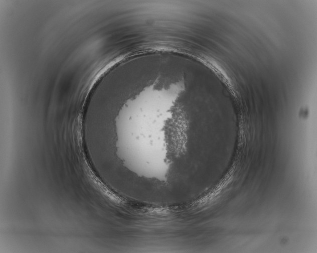 X0000095520798200712141445