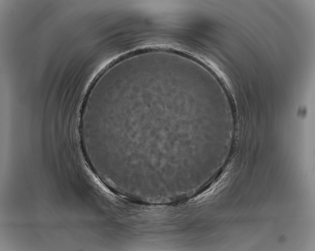 X0000095520799200712141445