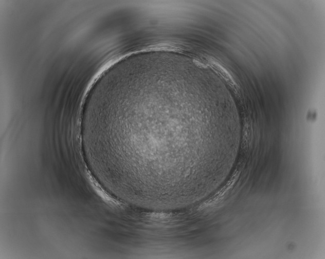 X0000095520800200712141445