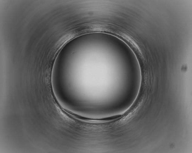 X0000095520801200712141445