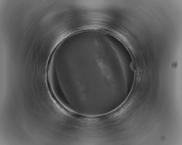 X0000095520802200712141445