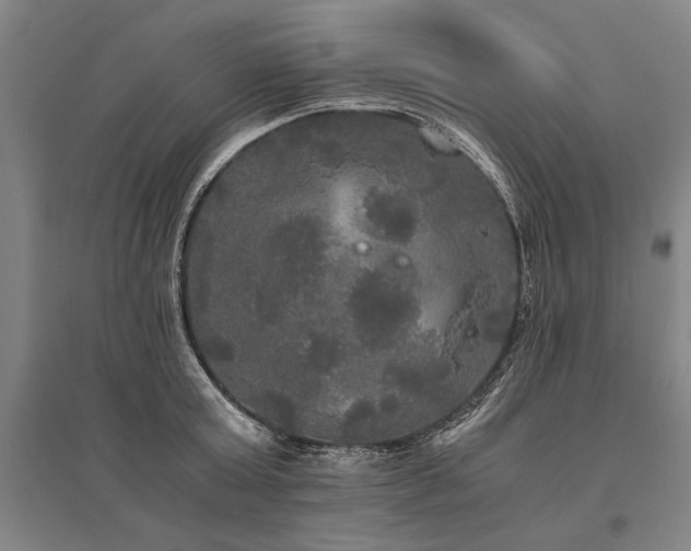 X0000095520803200712141445