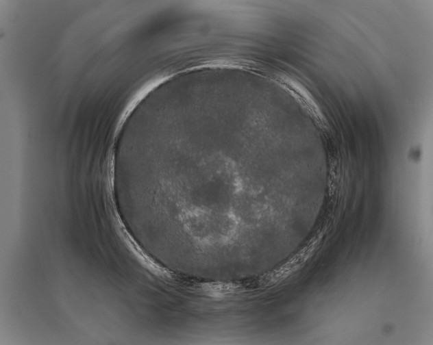 X0000095520804200712141445