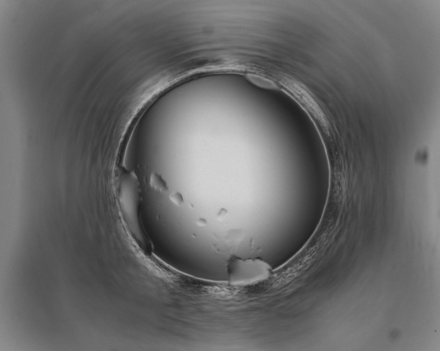X0000095520805200712141445