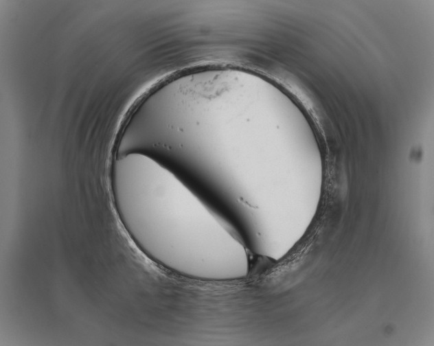 X0000095520807200712141444