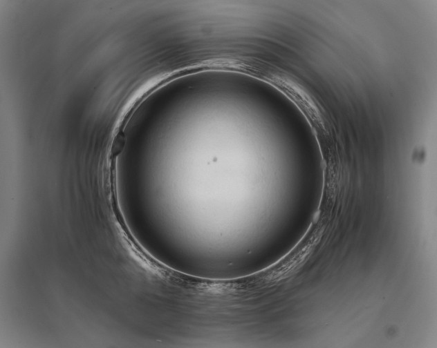 X0000095520808200712141444
