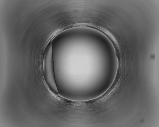 X0000095520809200712141444