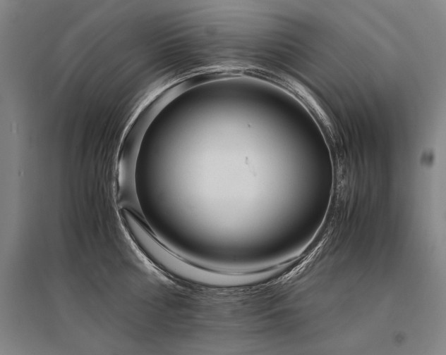 X0000095520810200712141444