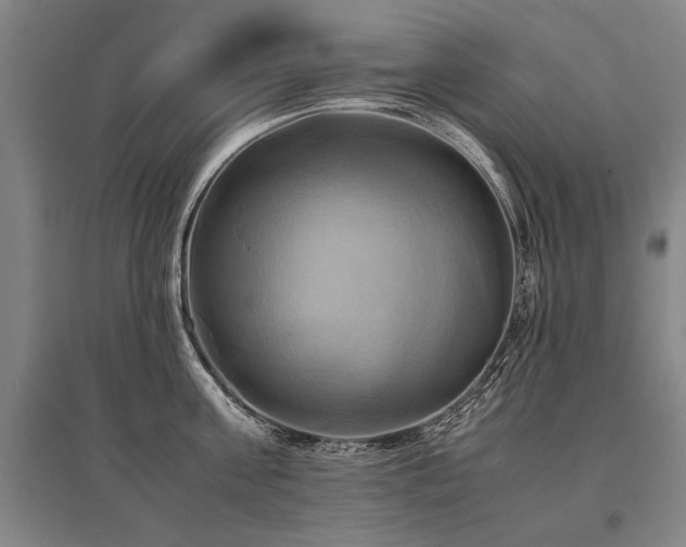 X0000095520811200712141444