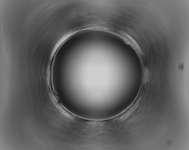 X0000095520812200712141444
