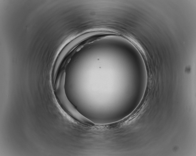 X0000095520813200712141444