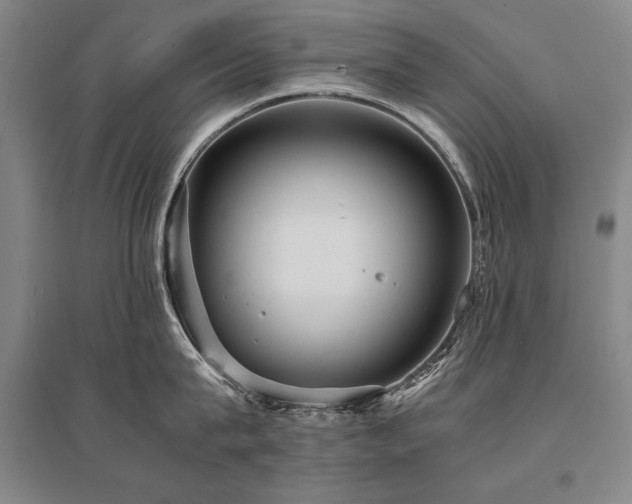 X0000095520815200712141444