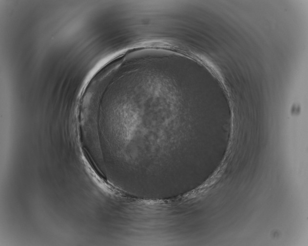 X0000095520816200712141444
