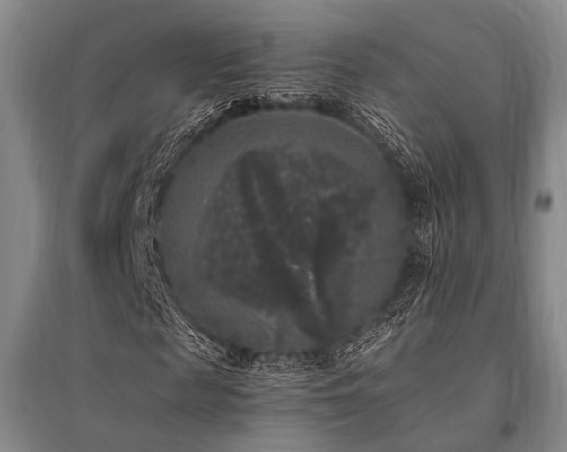 X0000095520817200712141444