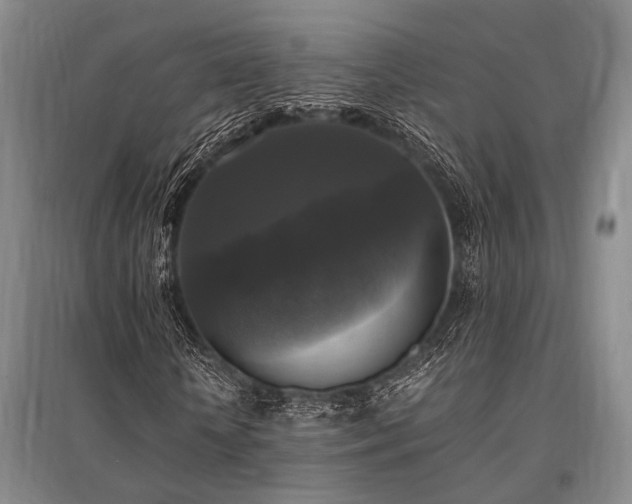 X0000095520818200712141444