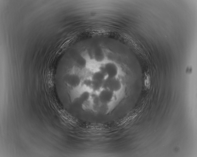 X0000095520819200712141444