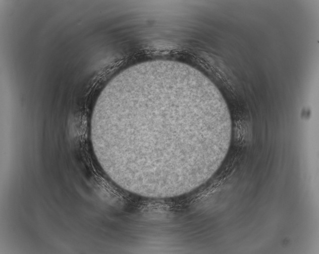 X0000095520820200712141444