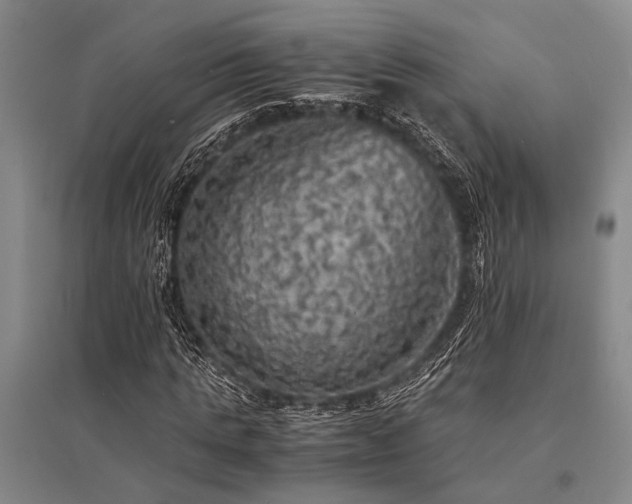 X0000095520821200712141444