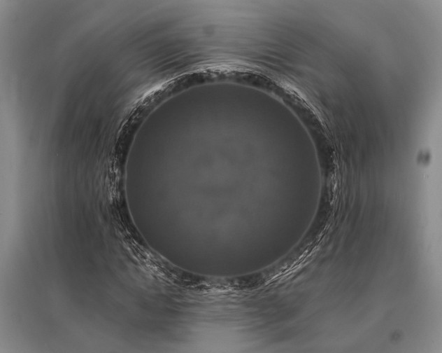 X0000095520822200712141444