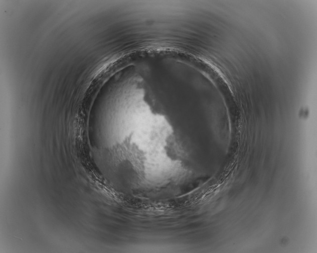 X0000095520823200712141444