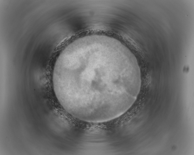 X0000095520824200712141444