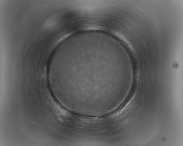 X0000095520825200712141444