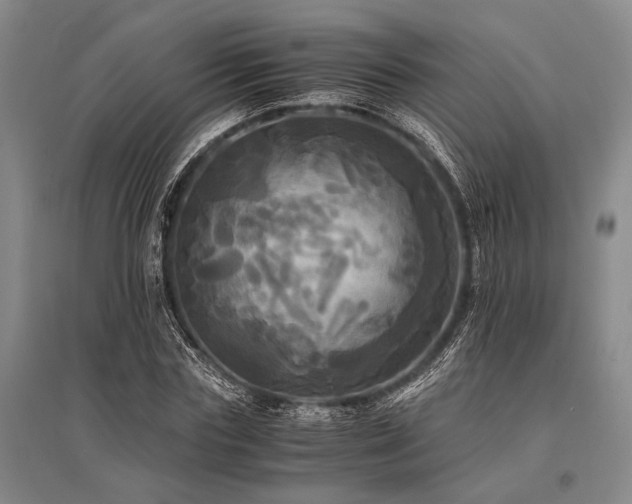 X0000095520827200712141444