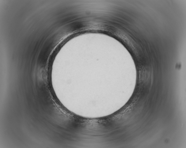 X0000095520828200712141444