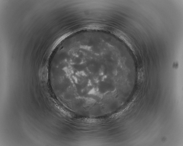 X0000095520829200712141444