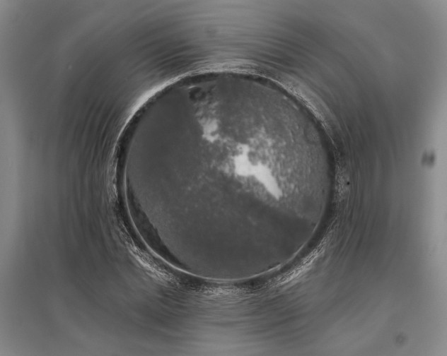 X0000095520830200712141444