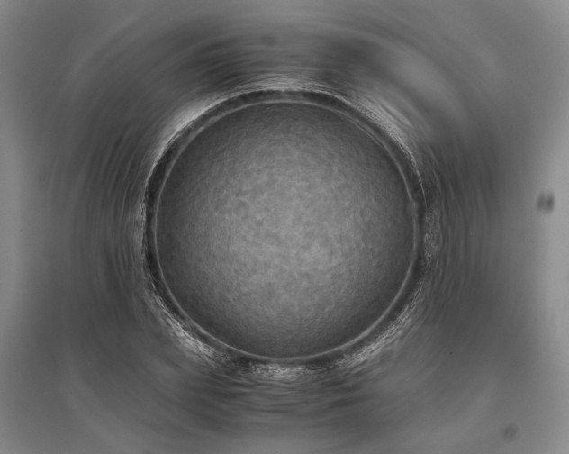 X0000095520831200712141444