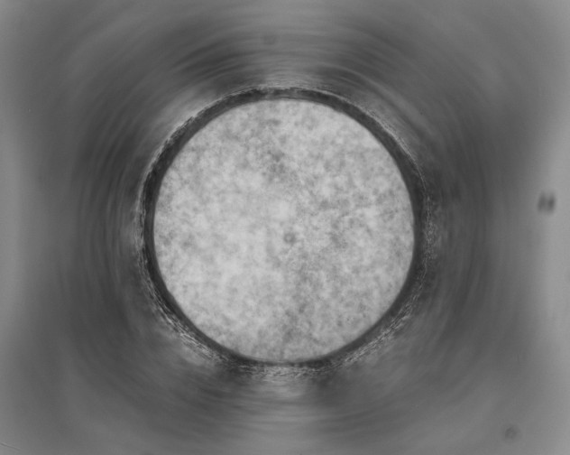X0000095520832200712141444