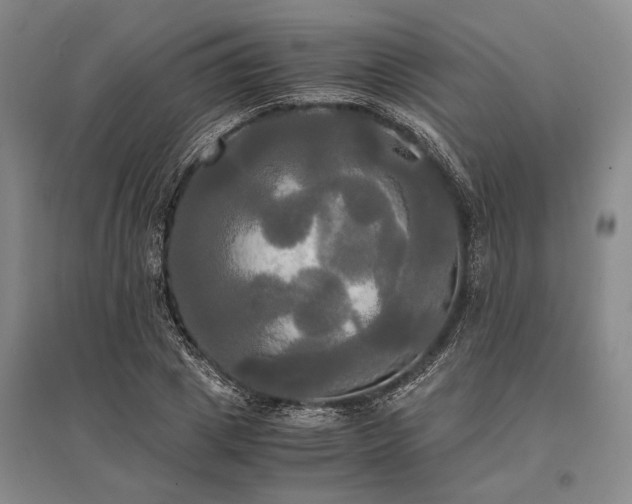 X0000095520833200712141444