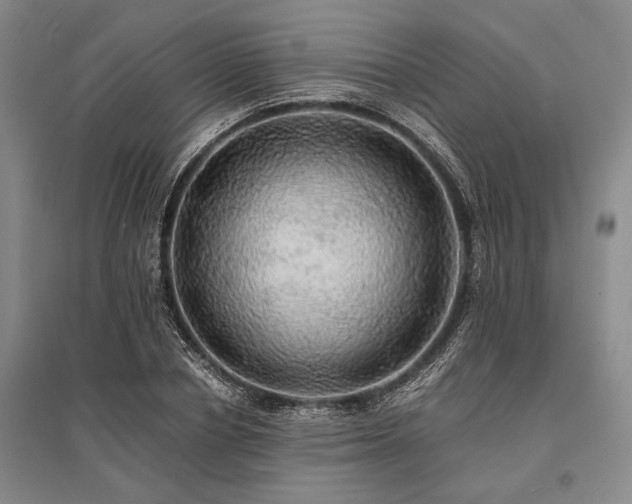 X0000095520834200712141444