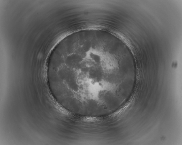 X0000095520835200712141444