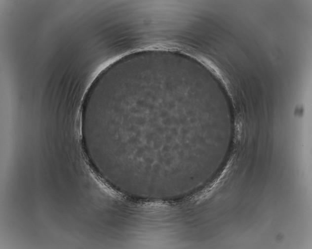 X0000095520838200712141444