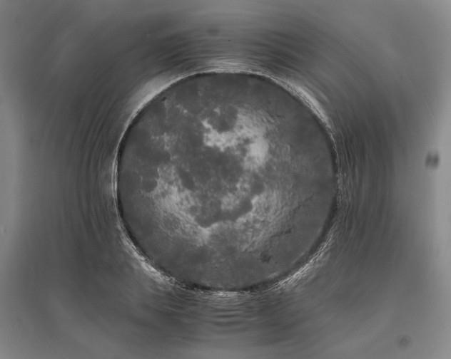 X0000095520839200712141444