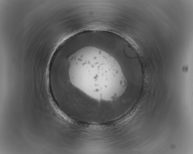 X0000095520840200712141444