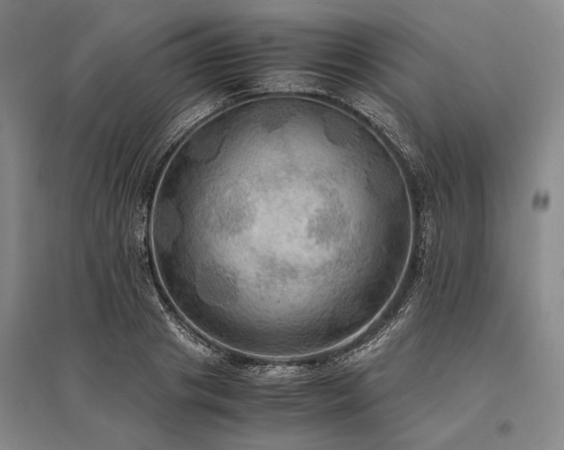 X0000095520841200712141444