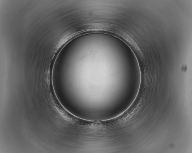 X0000095520842200712141444