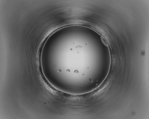 X0000095520843200712141444