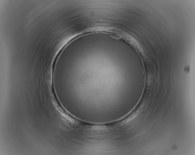 X0000095520844200712141444