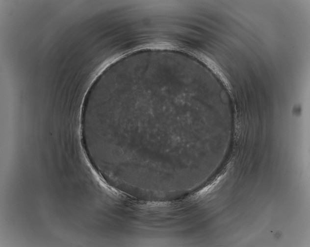 X0000095520845200712141444