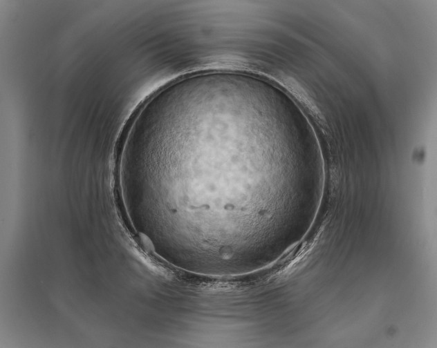 X0000095520846200712141444
