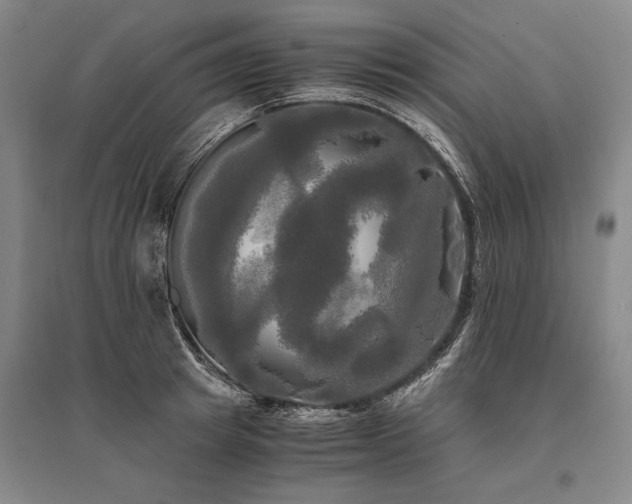 X0000095520849200712141444