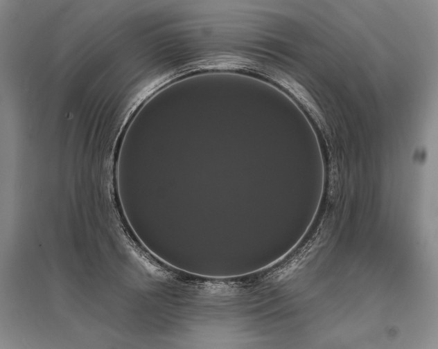 X0000095520850200712141444
