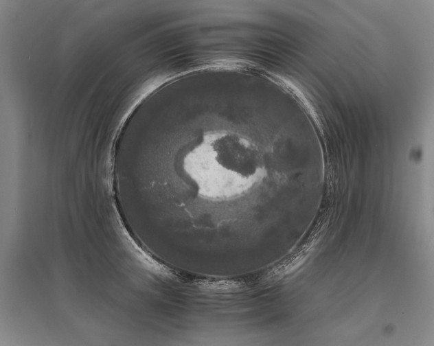 X0000095520851200712141444