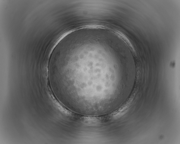 X0000095520852200712141444